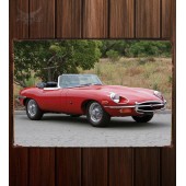 Металлическая табличка Jaguar E-Type Roadster (Series II) 341